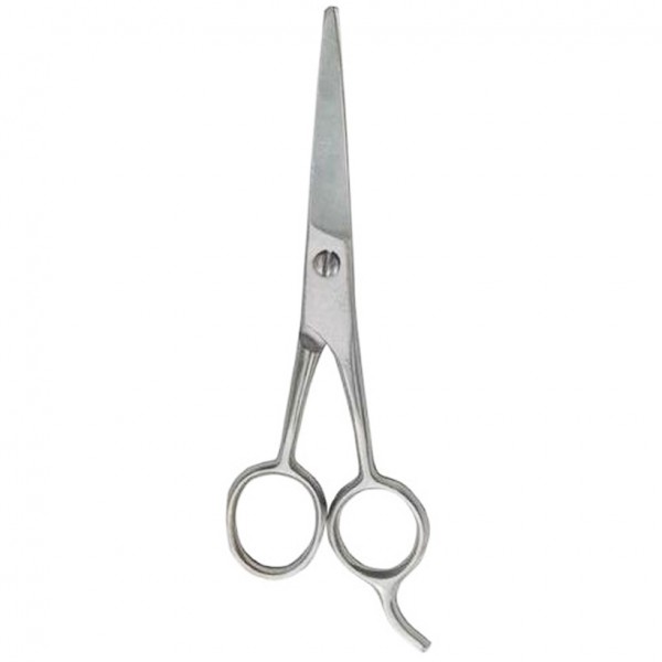 Ronney Professional Silver Schere 5.5